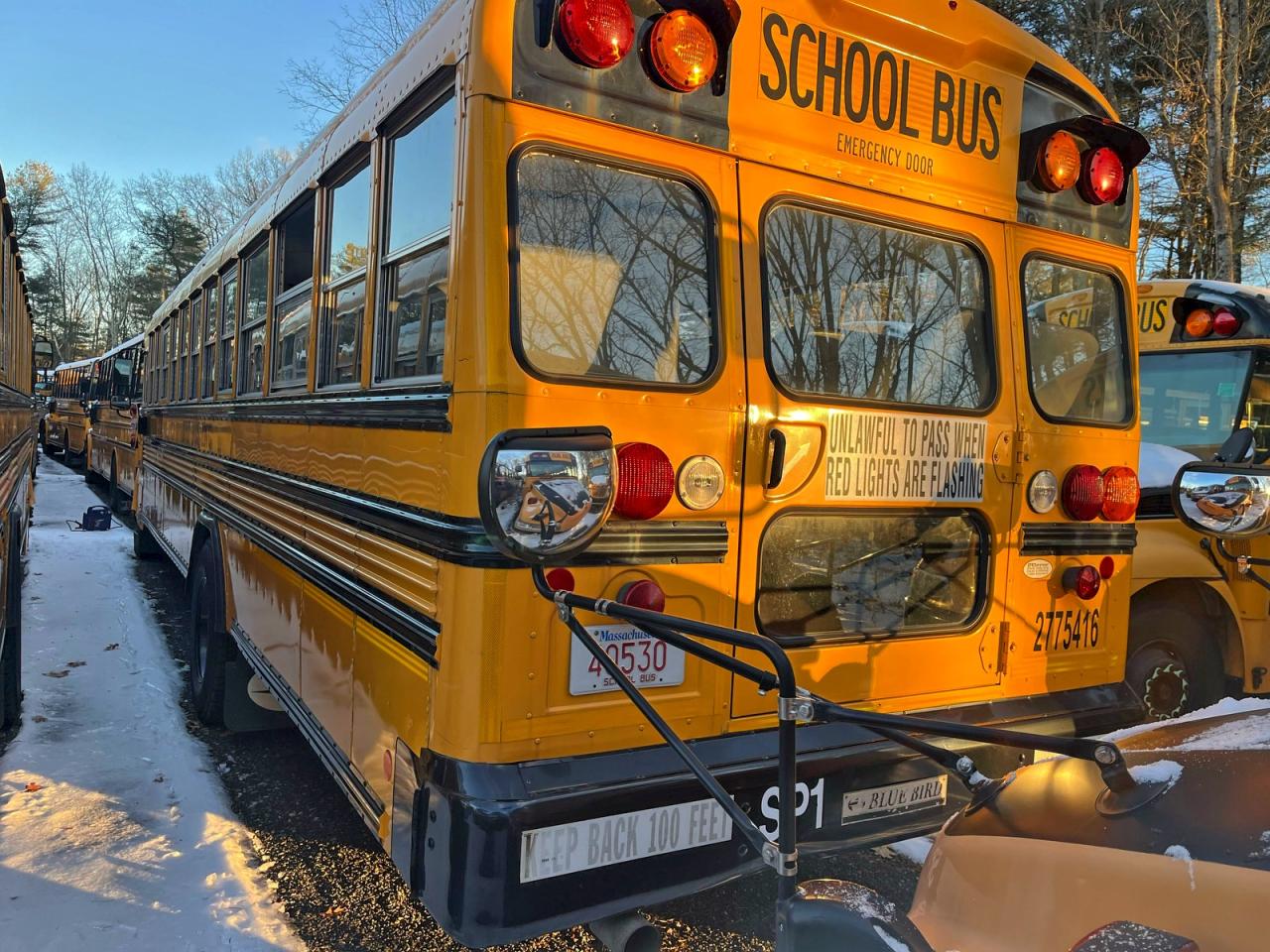 2015 BLZS SCHOOL BUS - TRANSIT VEHICLES SCHOOL BUS photo 3
