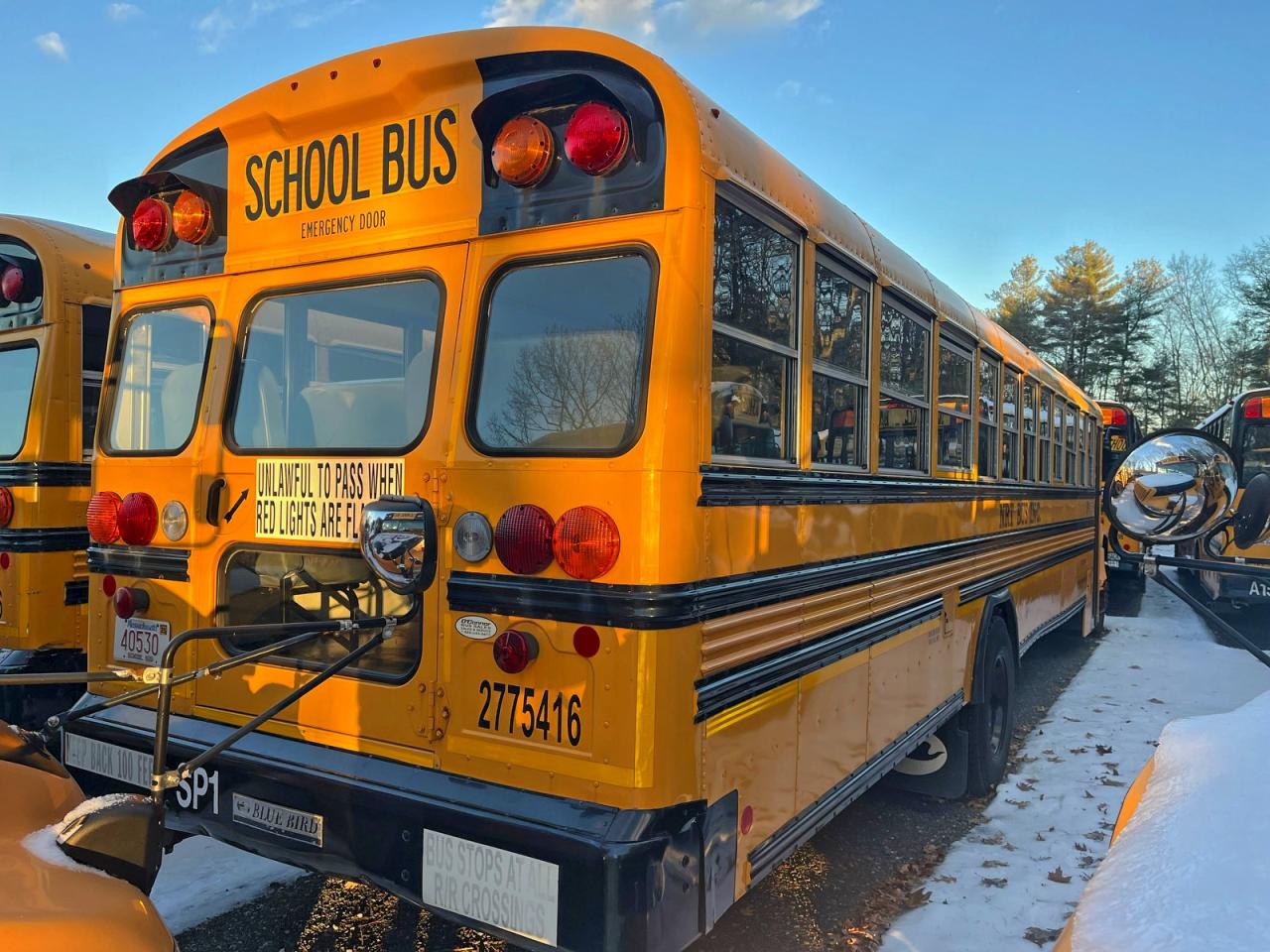 2015 BLZS SCHOOL BUS - TRANSIT VEHICLES SCHOOL BUS photo 4