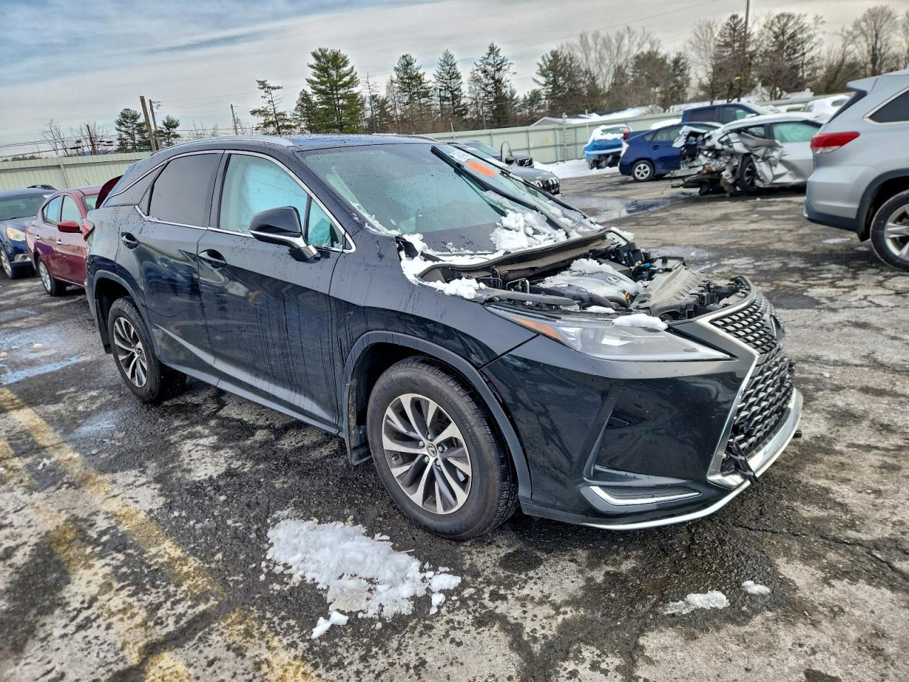 2021 LEXUS RX 350 photo 4