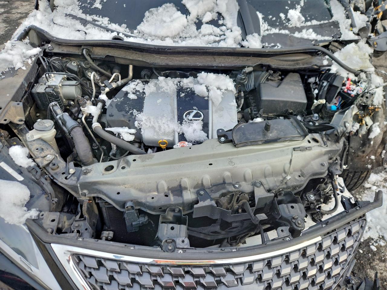 2021 LEXUS RX 350 photo 11