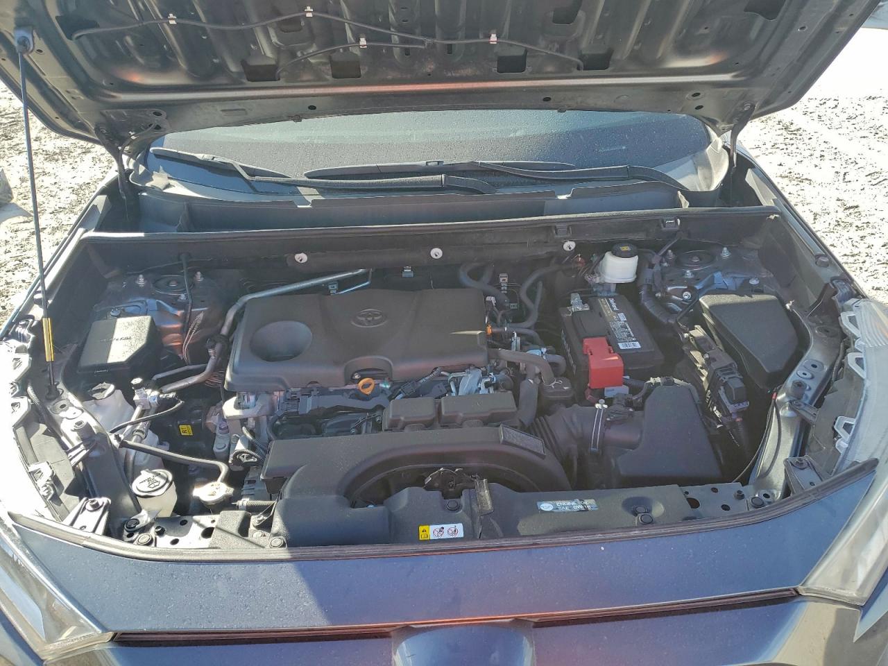 2019 TOYOTA RAV4 XLE photo 12