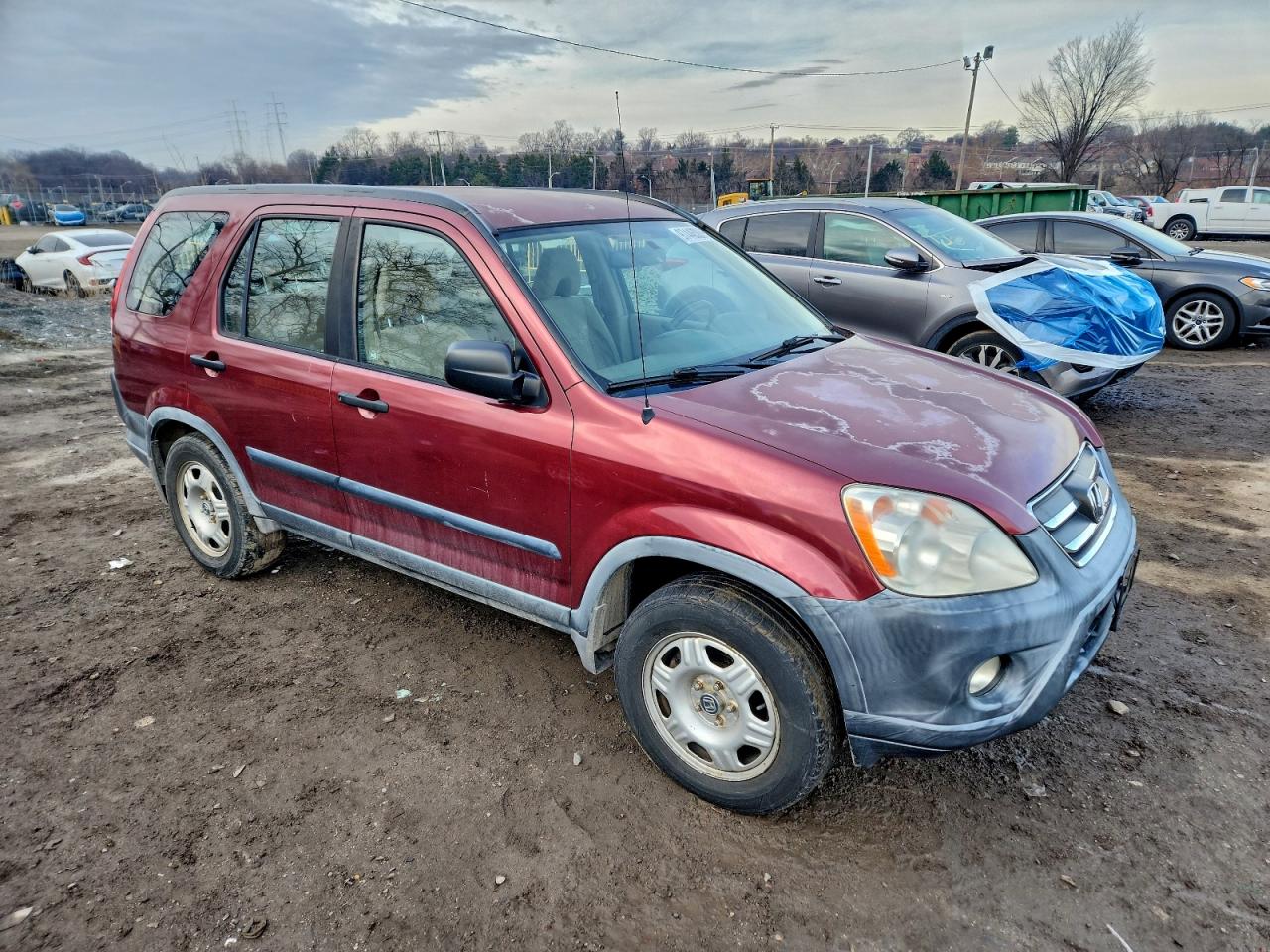 2005 HONDA CR-V LX photo 7