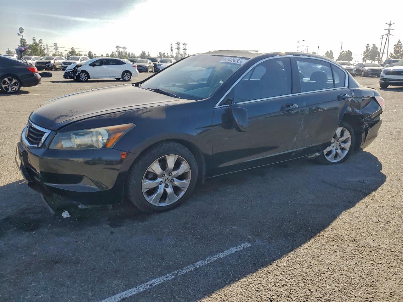 2010 HONDA ACCORD