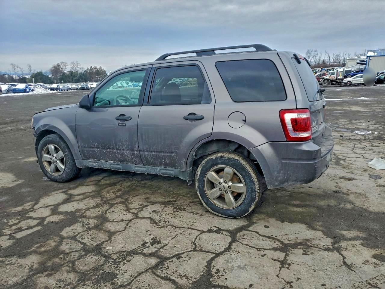 2010 FORD ESCAPE XLT photo 2