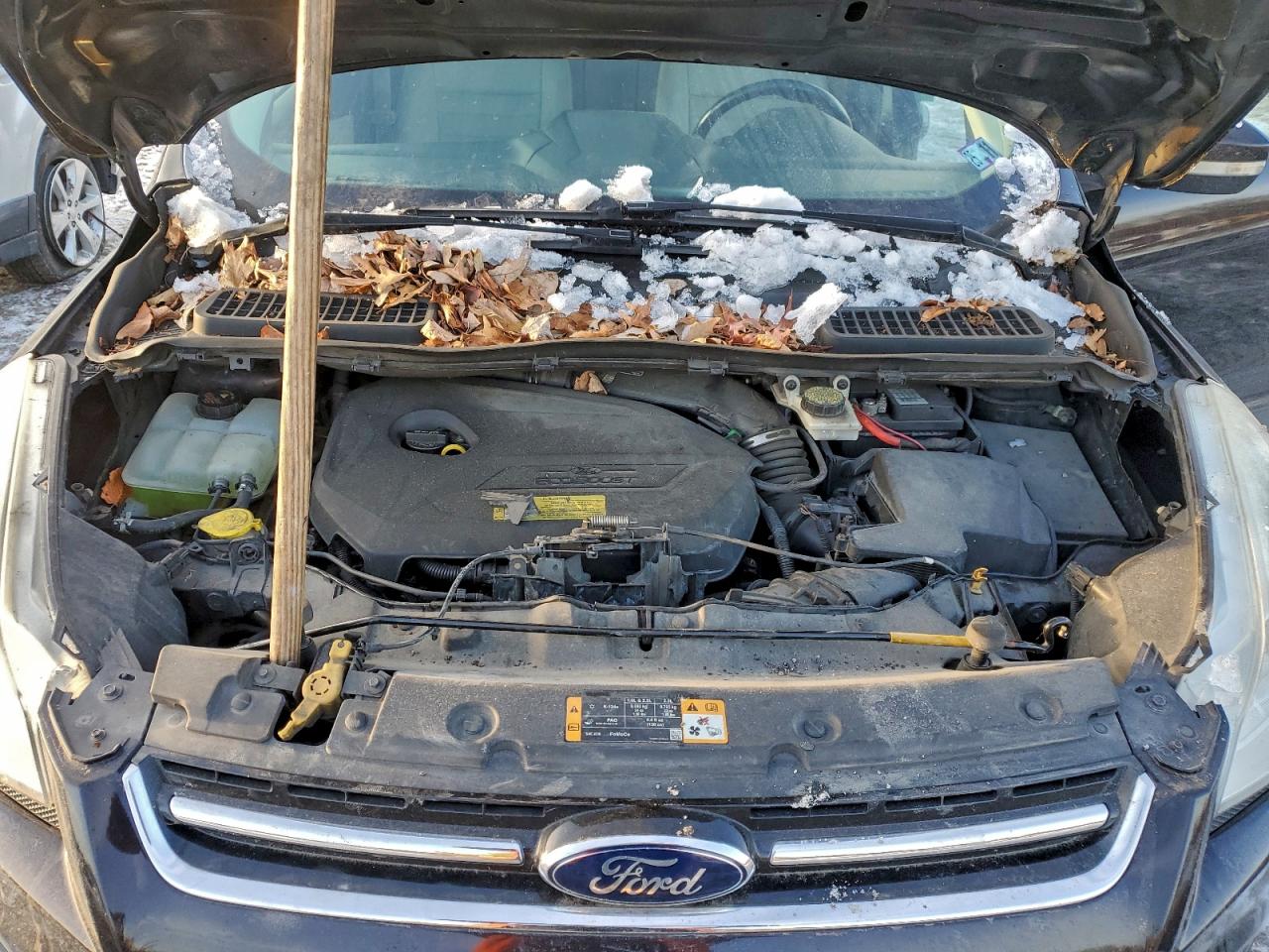 2013 FORD ESCAPE SEL photo 12