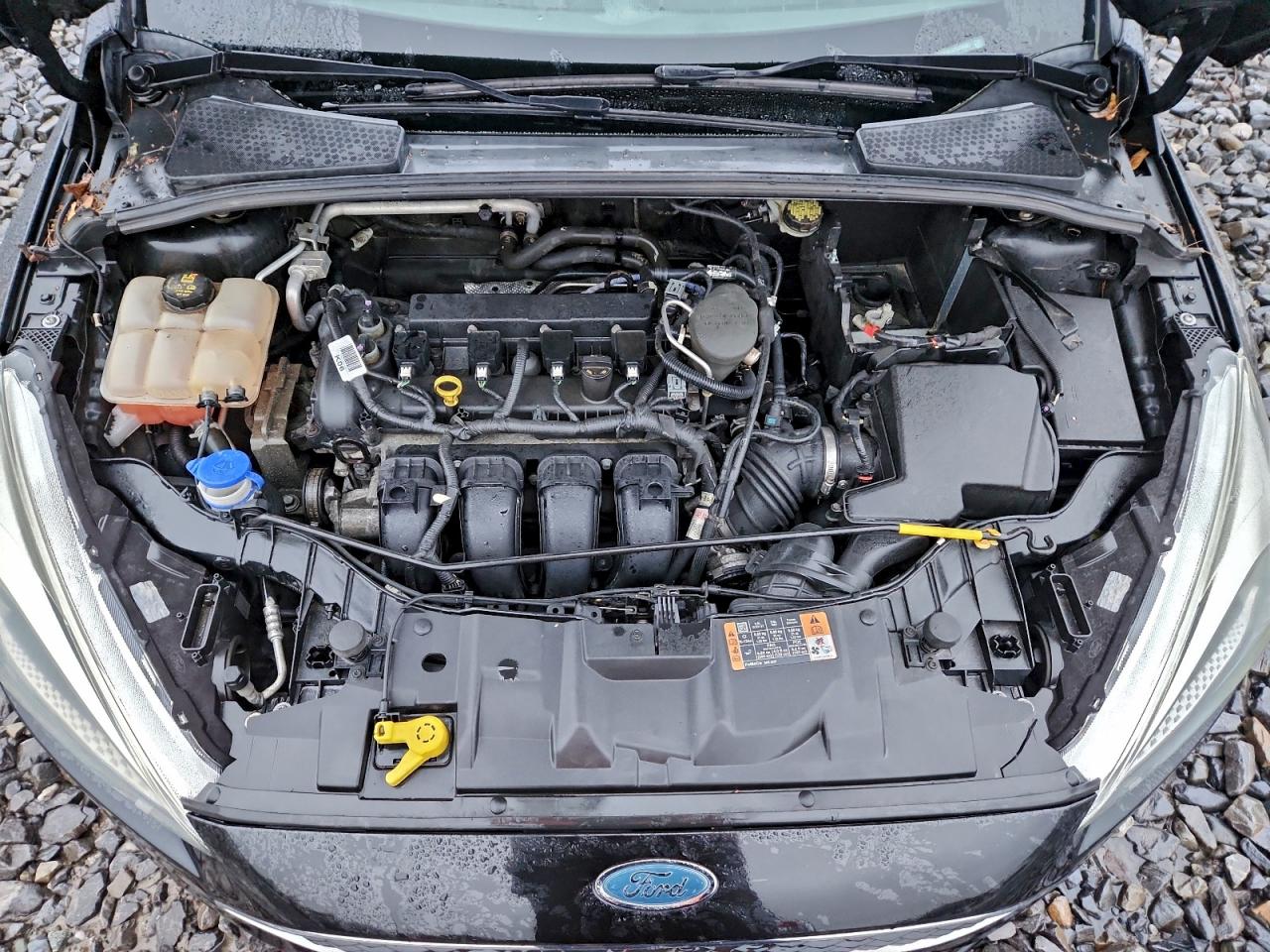 2015 FORD FOCUS SE photo 11