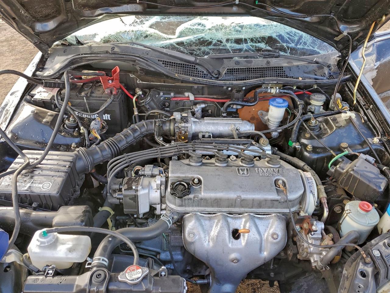 1995 HONDA CIVIC LX photo 11