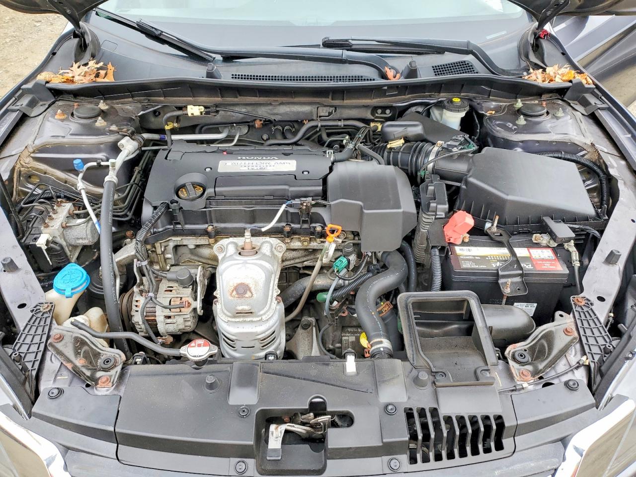 2013 HONDA ACCORD LX photo 11
