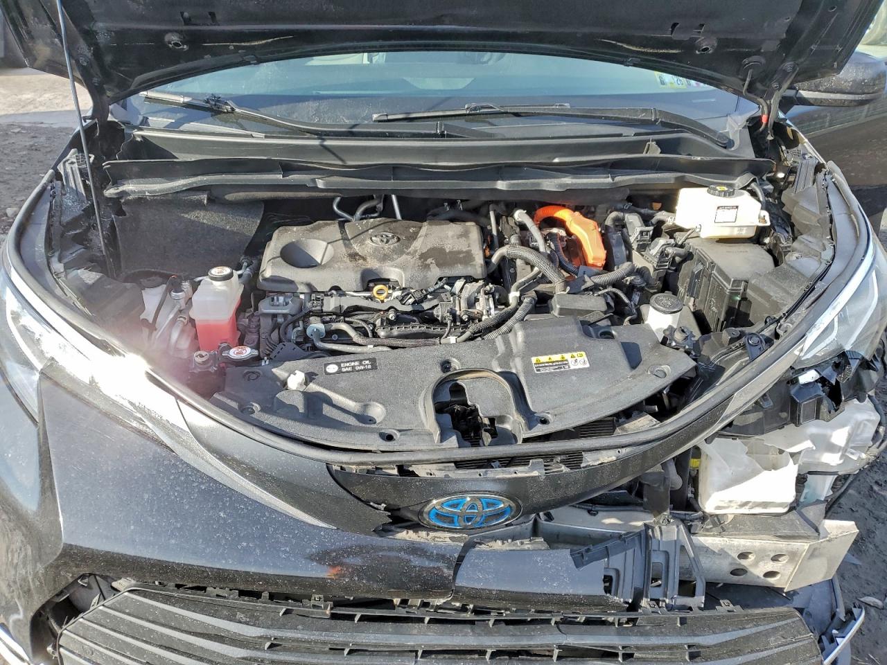 2021 TOYOTA SIENNA XLE photo 12