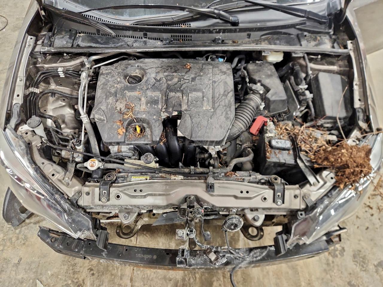 2019 TOYOTA COROLLA L photo 11