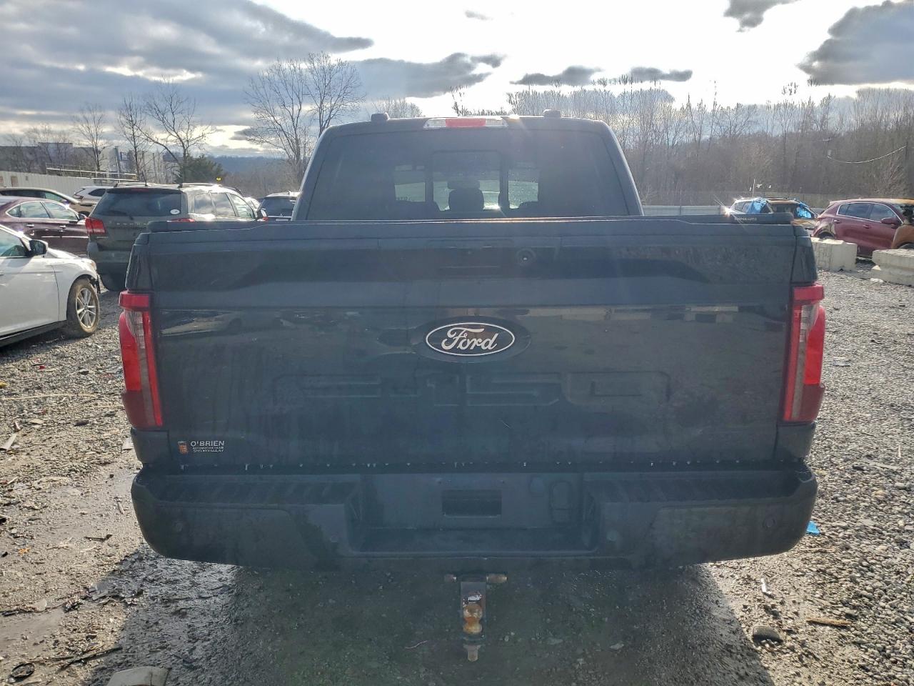 2024 FORD F150 XLT photo 6