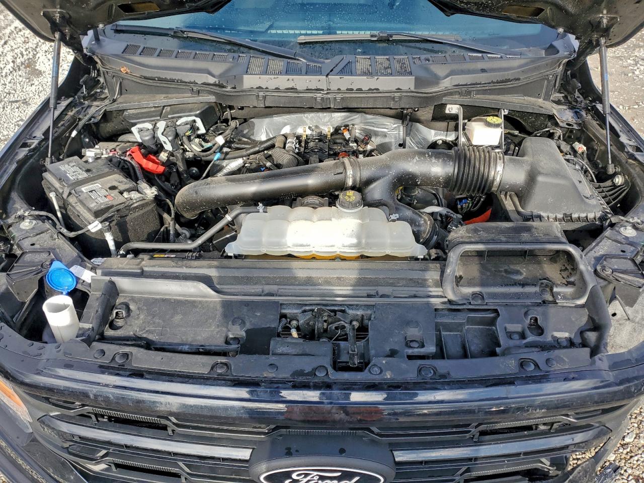 2024 FORD F150 XLT photo 11