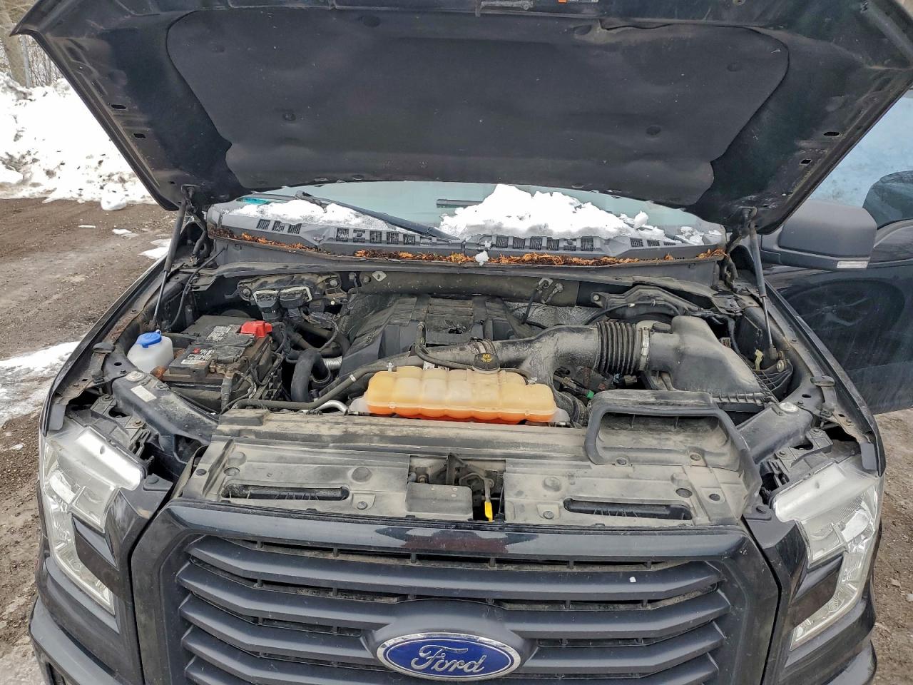 2015 FORD F150 SUPERCREW photo 11