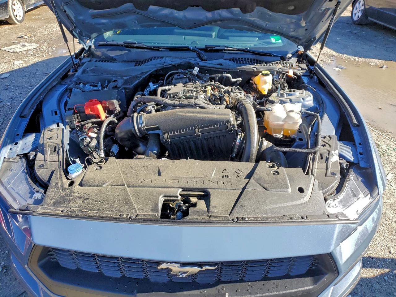 2025 FORD MUSTANG photo 11