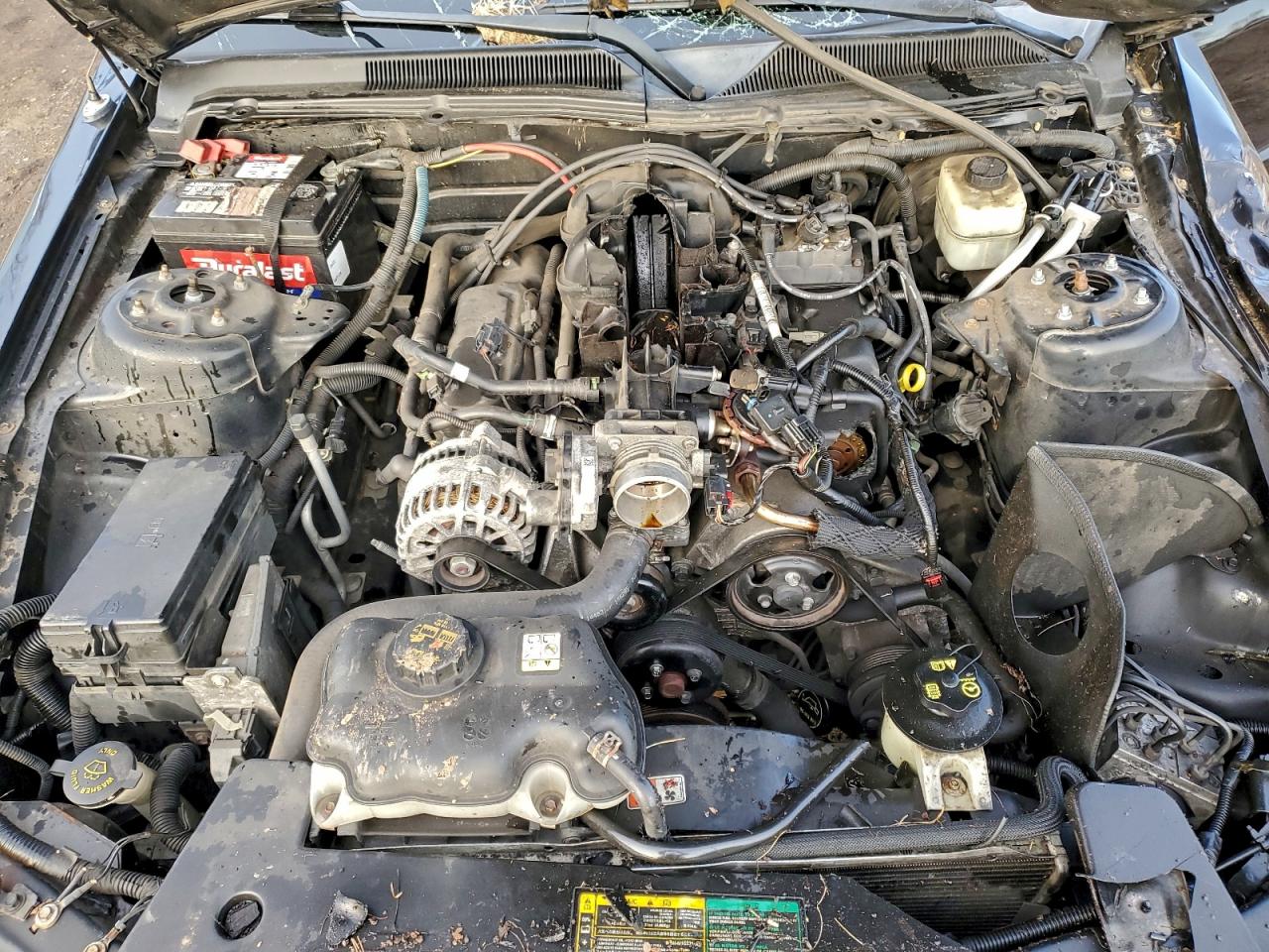 2006 FORD MUSTANG photo 11