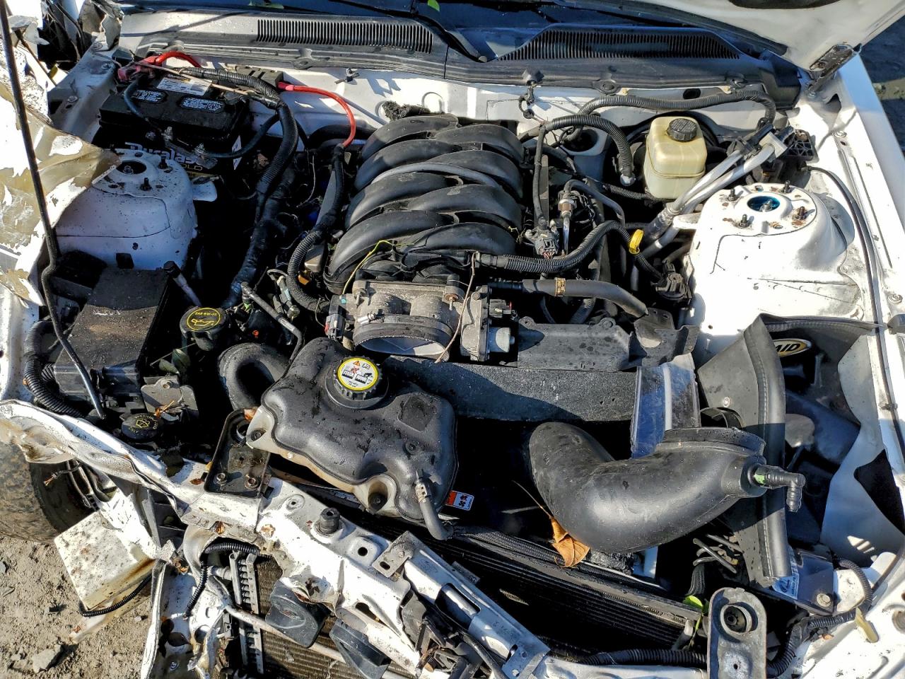 2008 FORD MUSTANG GT photo 11