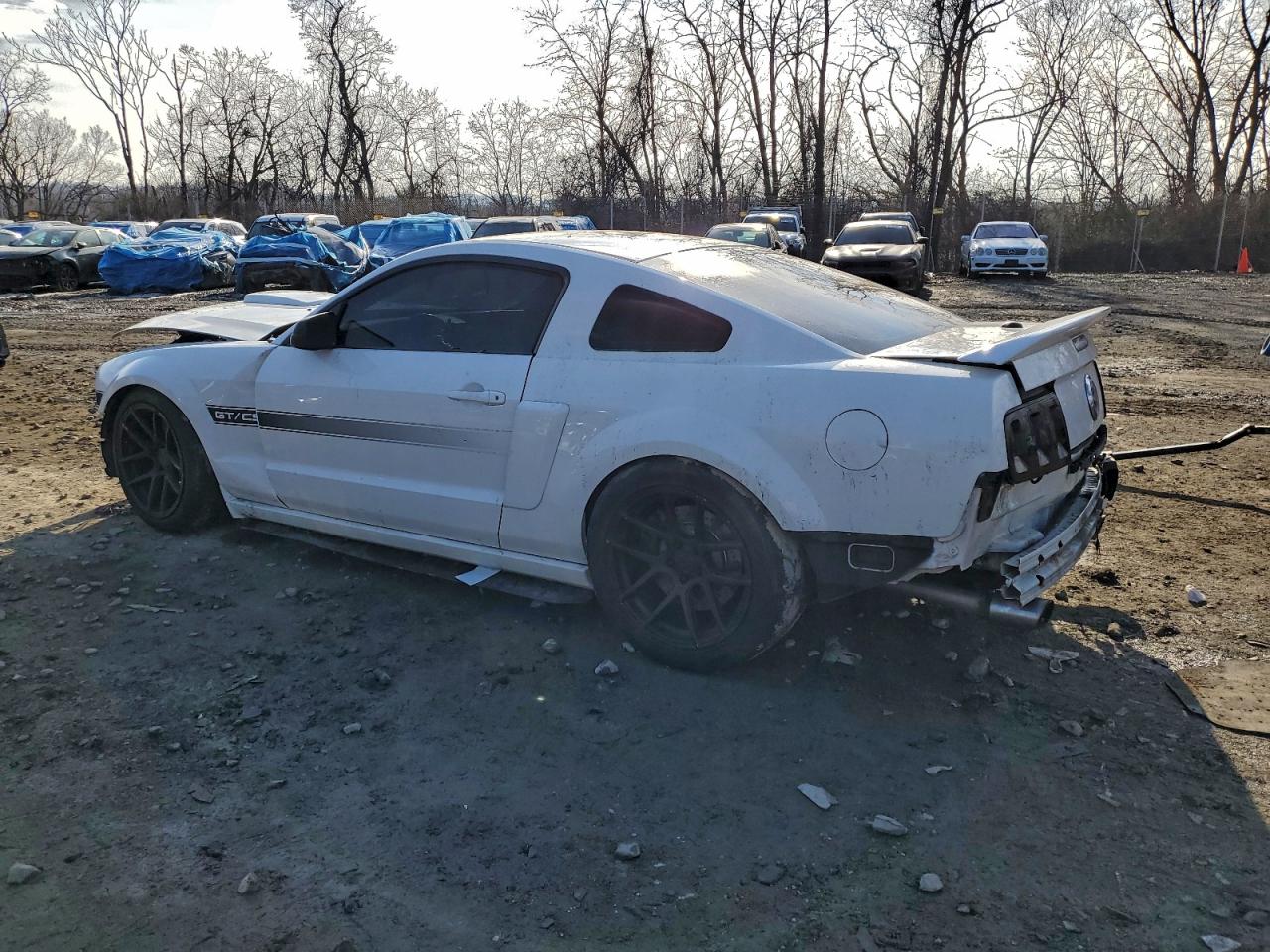 2008 FORD MUSTANG GT photo 2