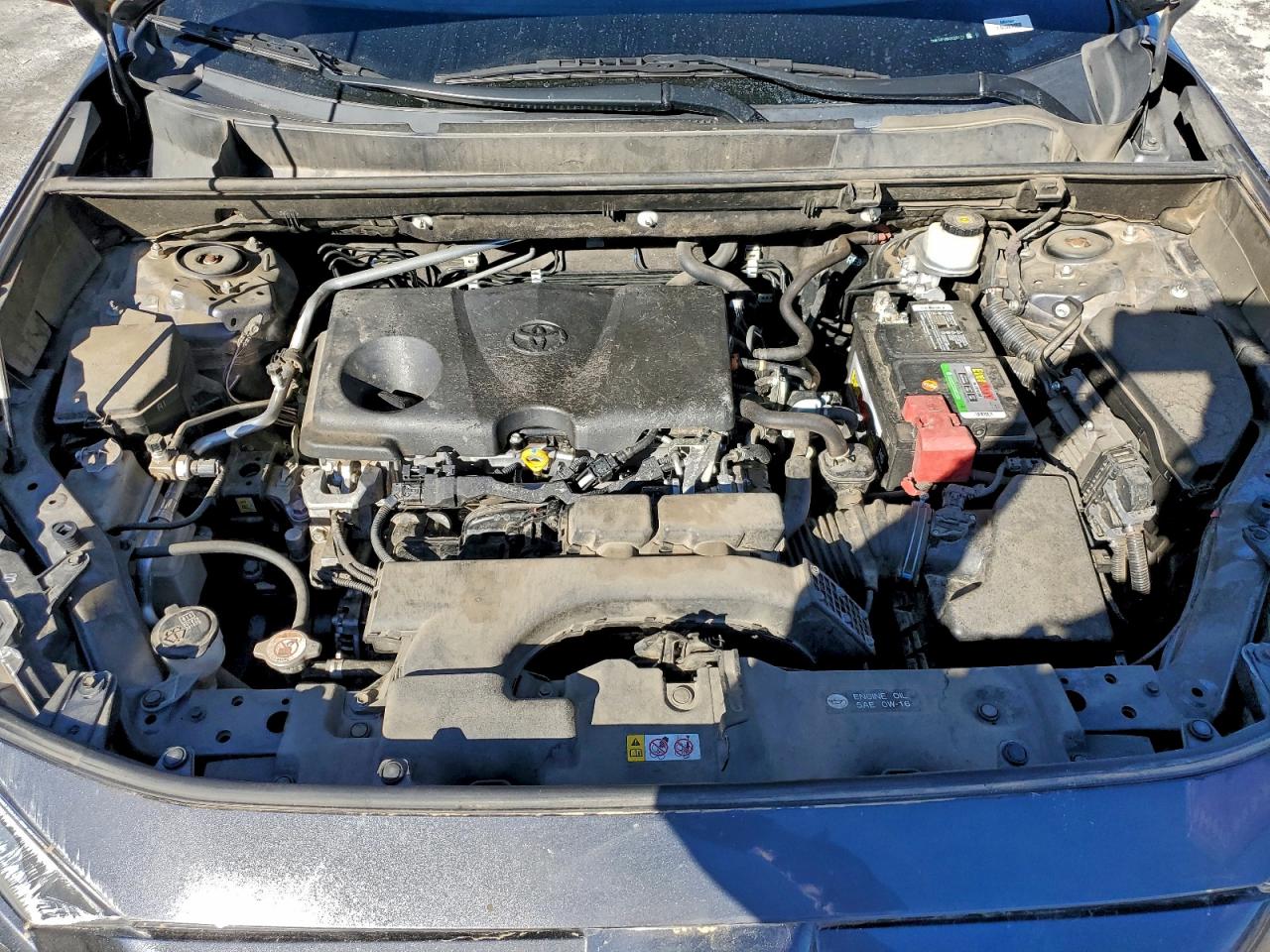 2019 TOYOTA RAV4 XLE photo 12