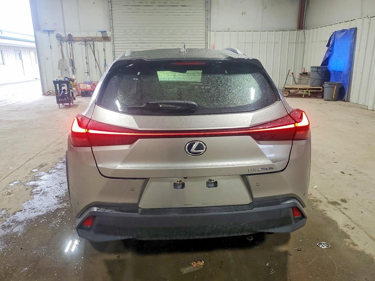 2019 LEXUS UX 250H photo 6