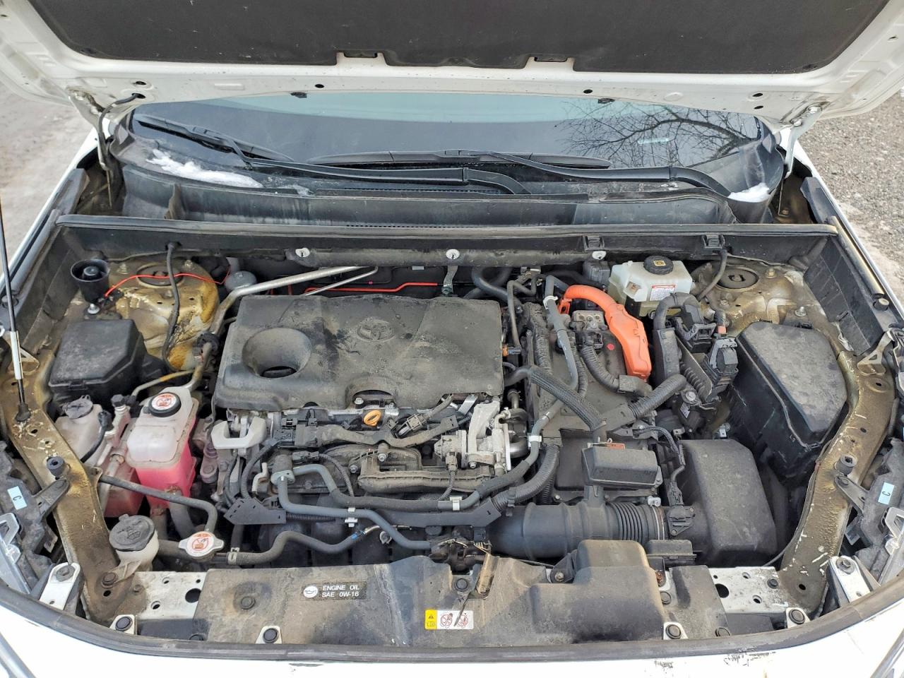 2021 TOYOTA RAV4 XLE photo 12