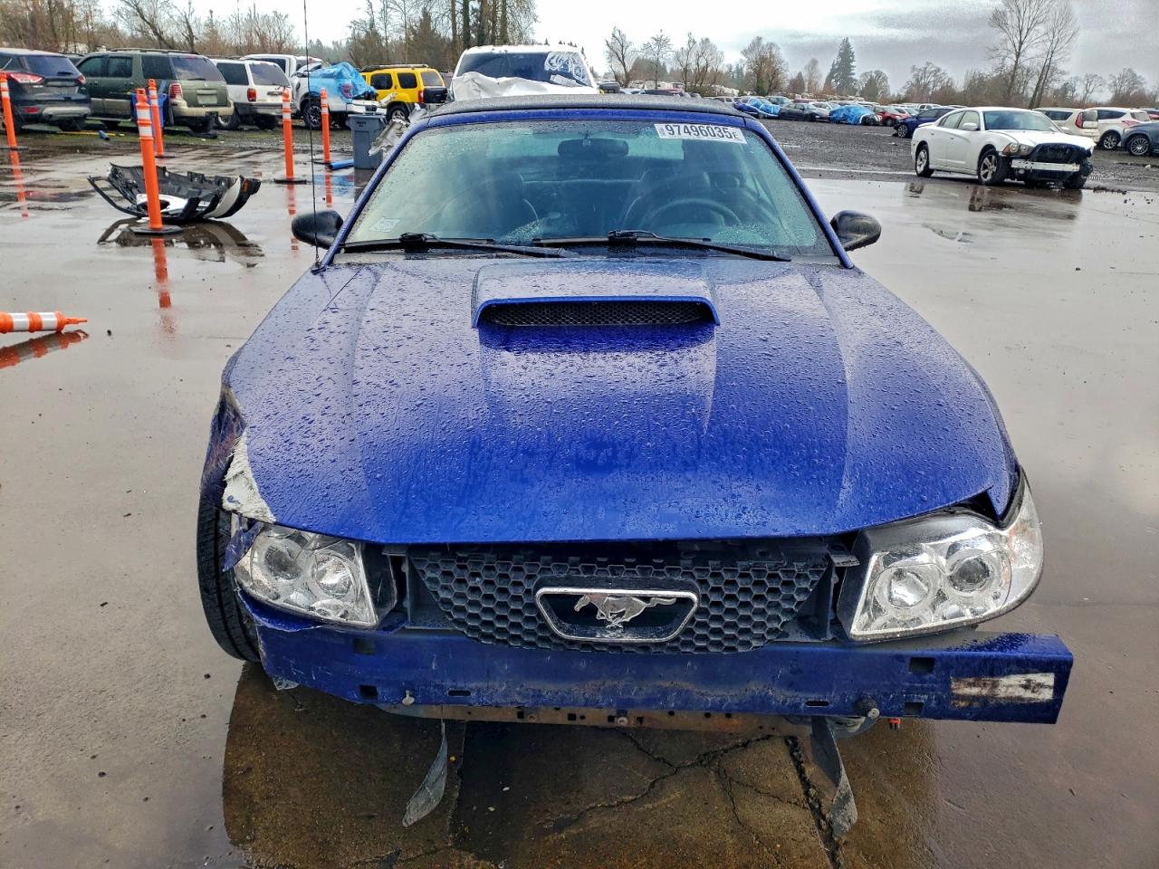 2003 FORD MUSTANG GT photo 9