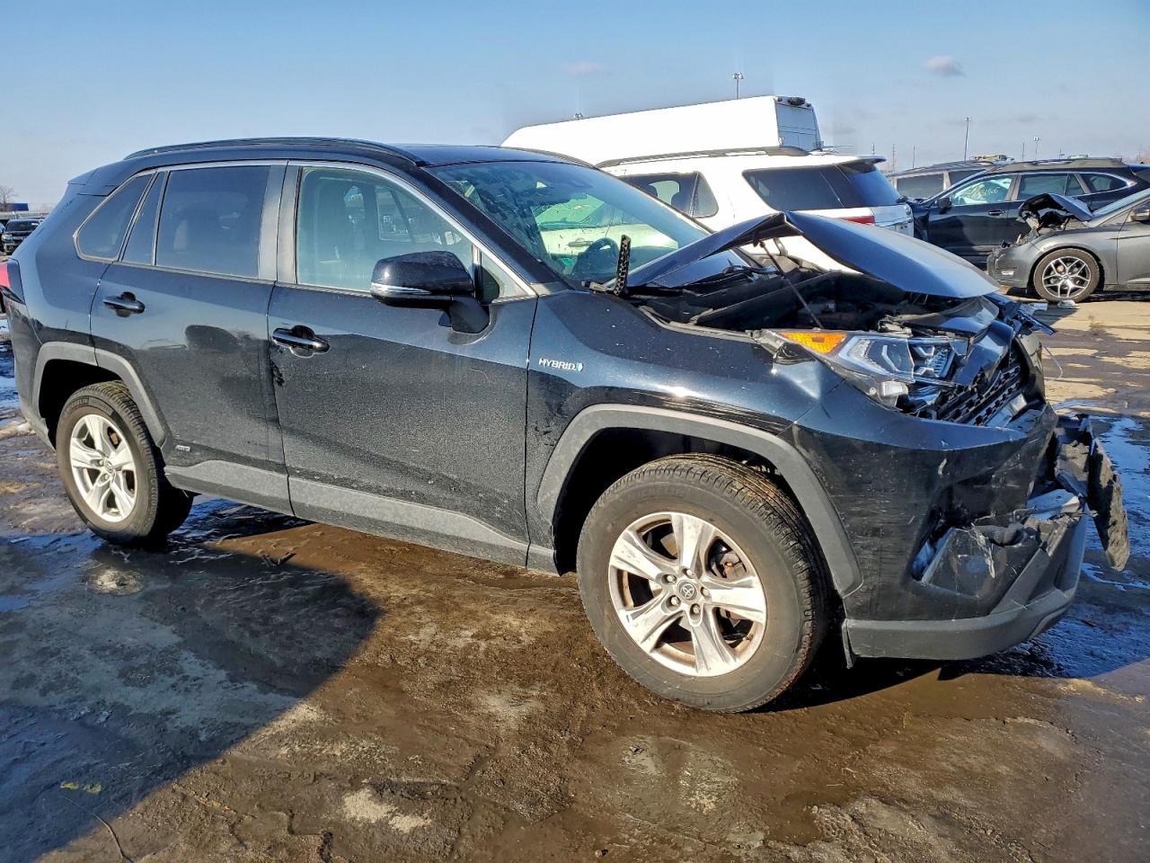 2019 TOYOTA RAV4 XLE photo 4