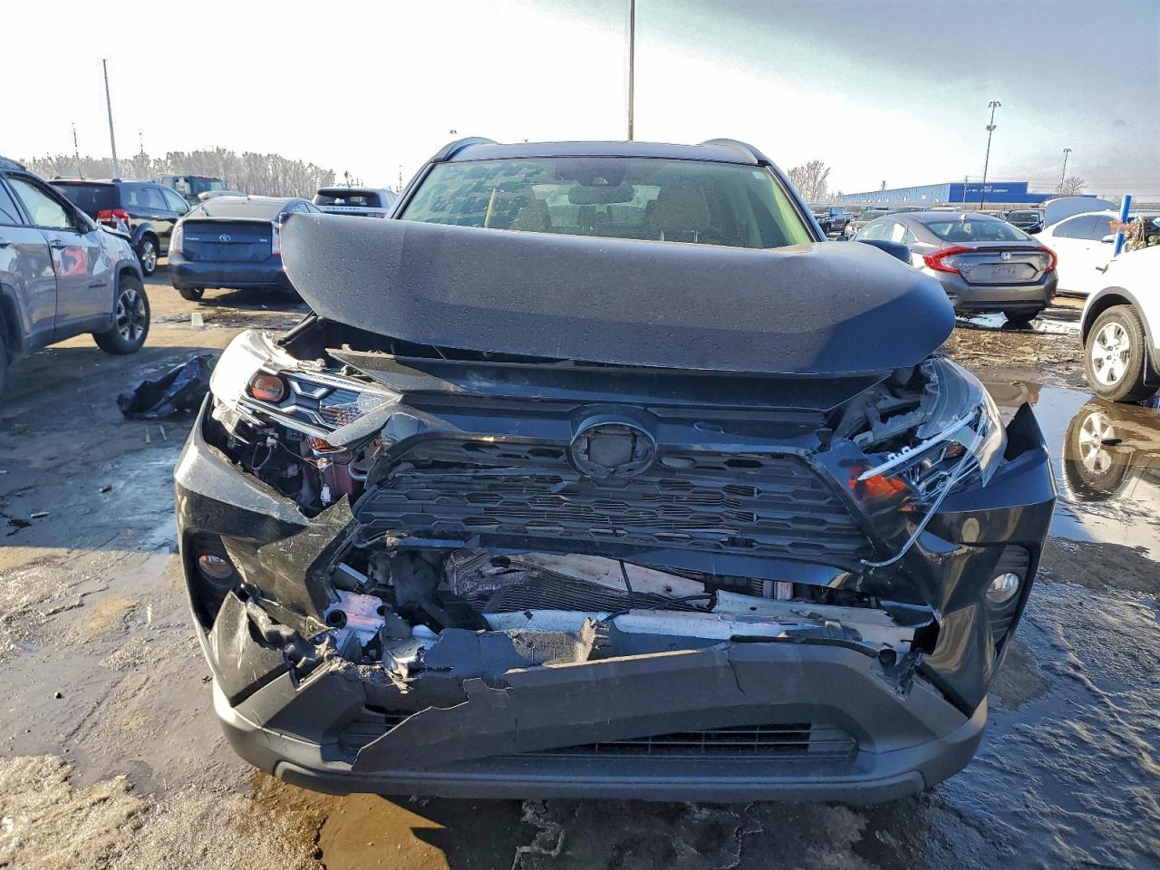 2019 TOYOTA RAV4 XLE photo 5