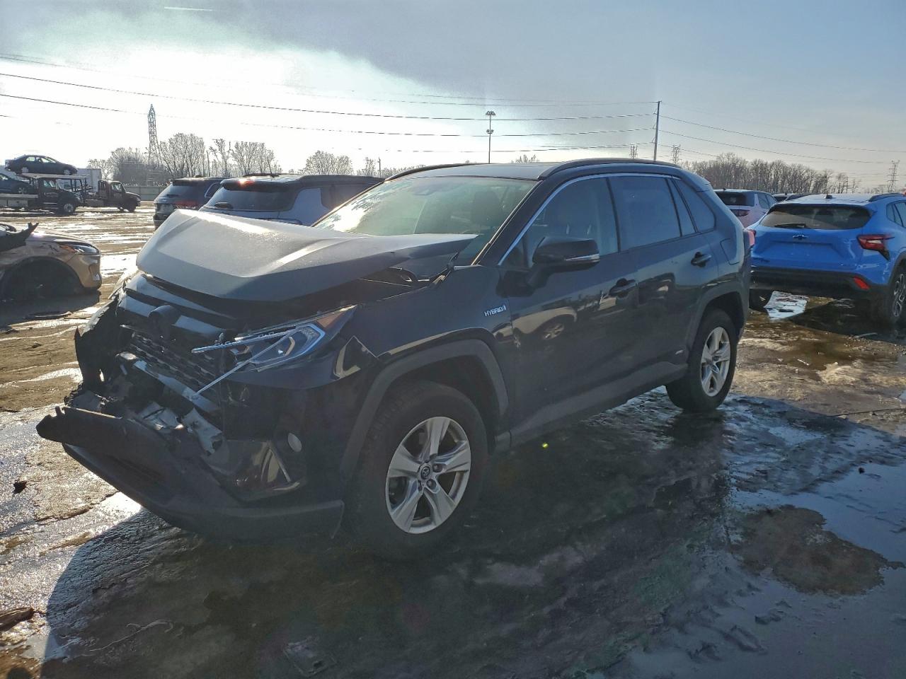 2019 TOYOTA RAV4