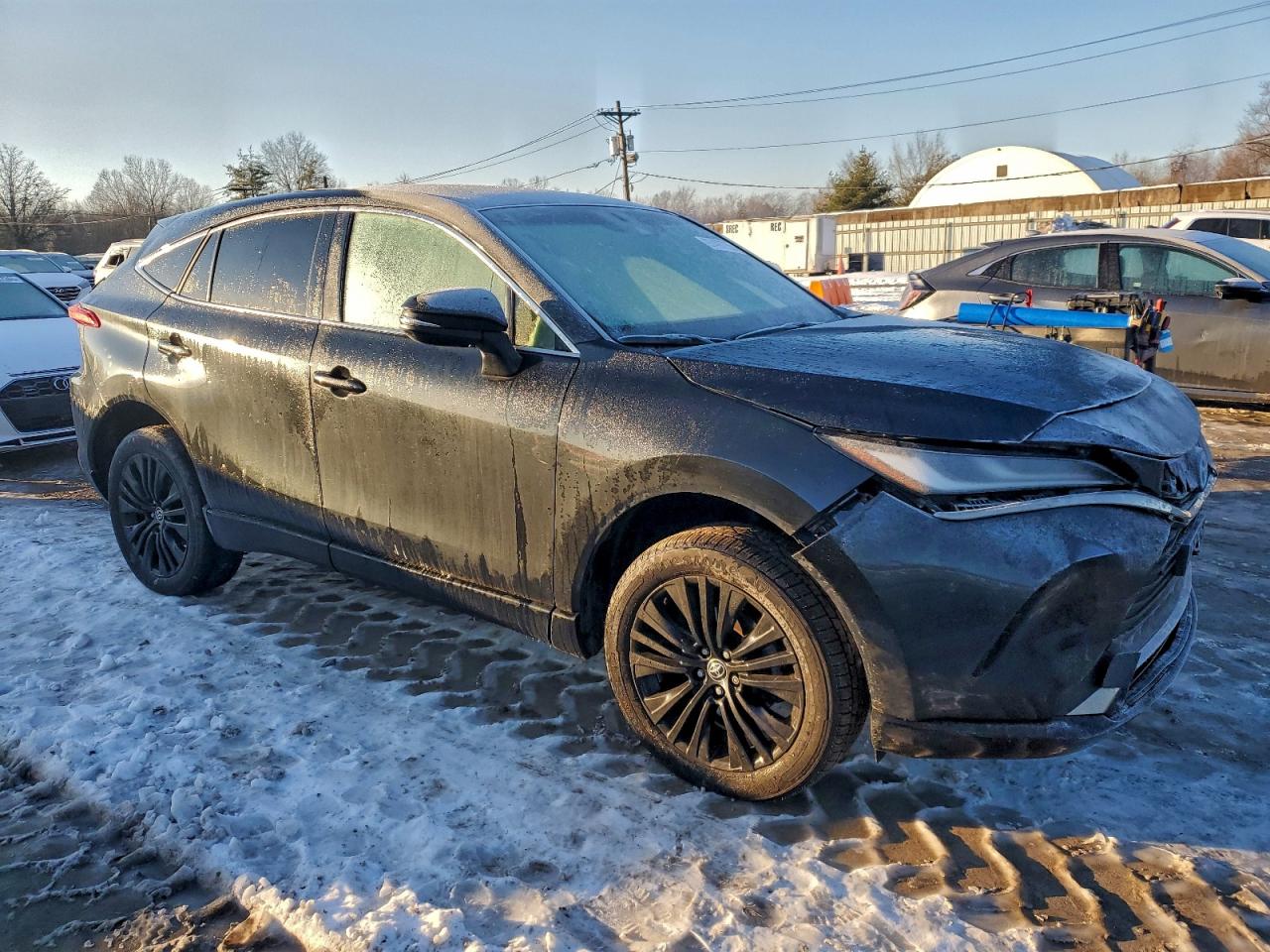 2023 TOYOTA VENZA LE photo 4