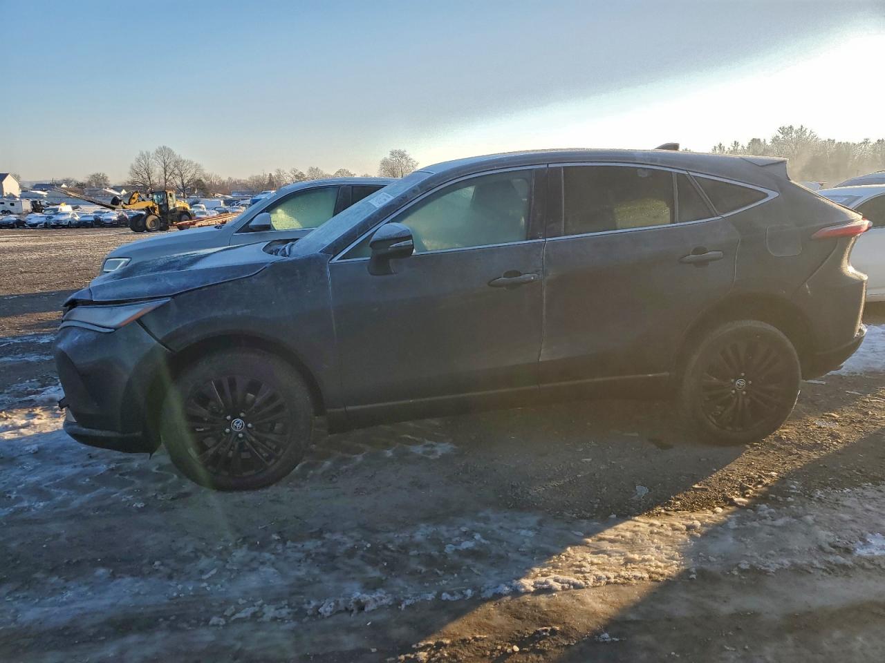 2023 TOYOTA VENZA