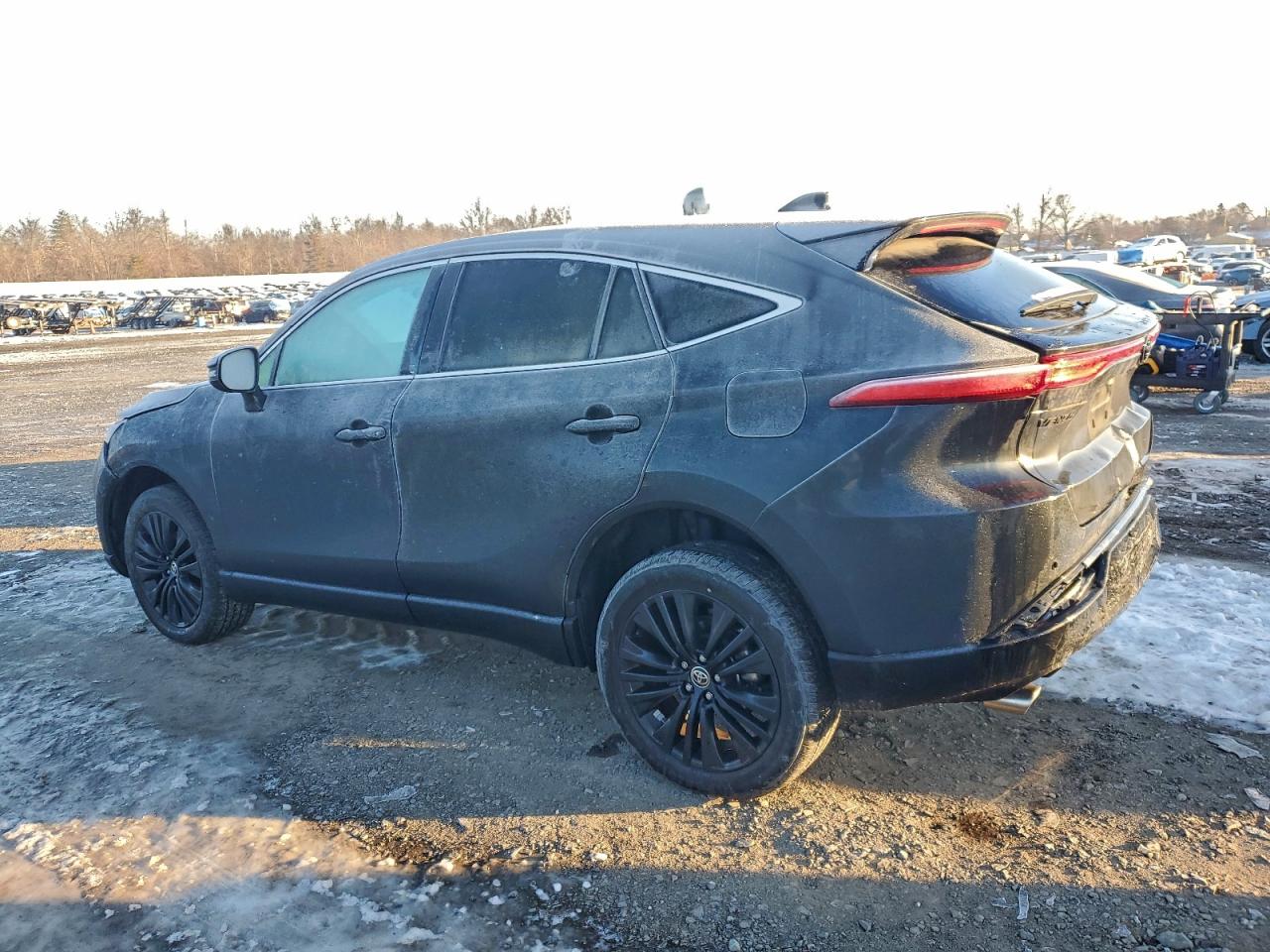 2023 TOYOTA VENZA LE photo 2