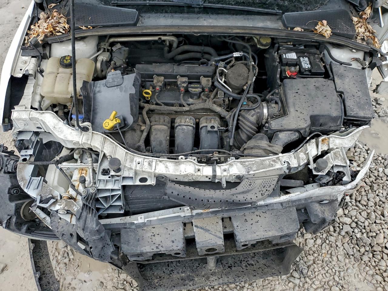 2014 FORD FOCUS SE photo 11
