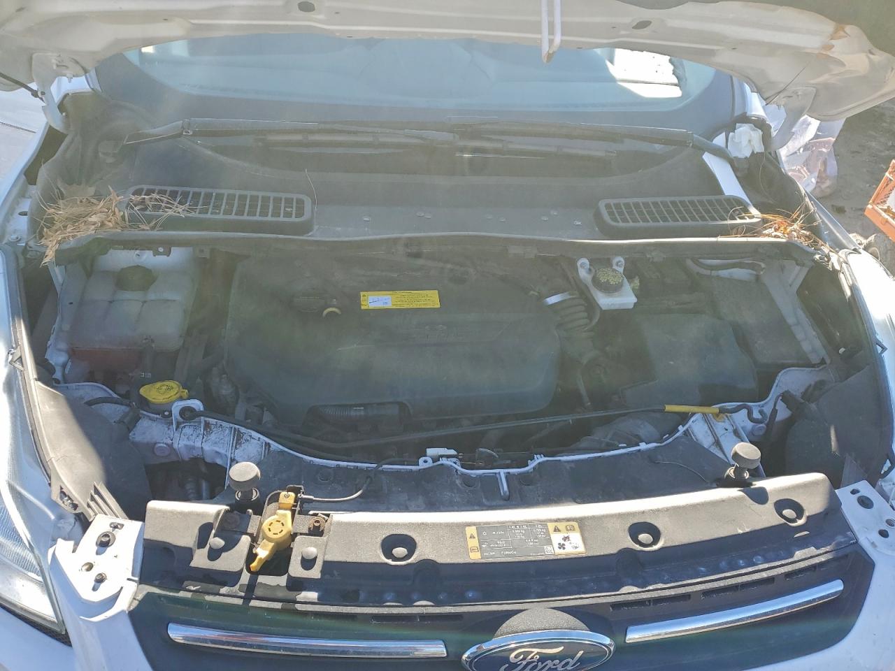 2016 FORD ESCAPE SE photo 12
