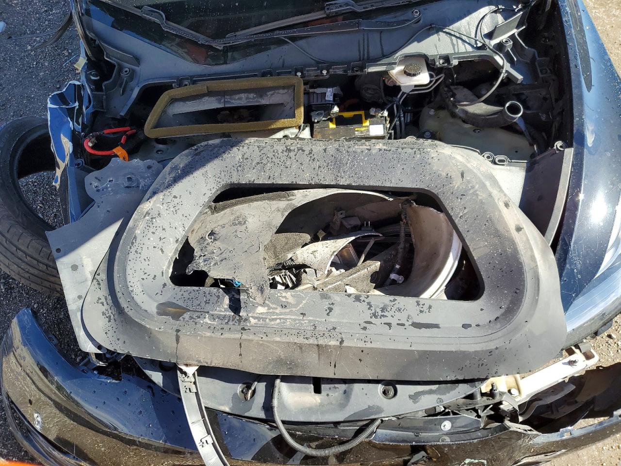 2021 TESLA MODEL Y photo 11