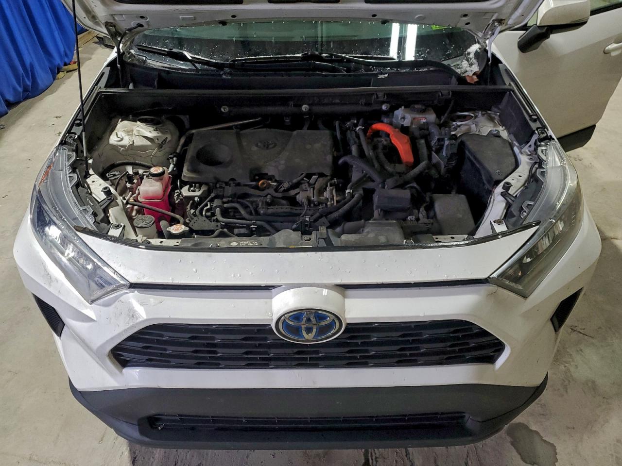 2021 TOYOTA RAV4 LE photo 12
