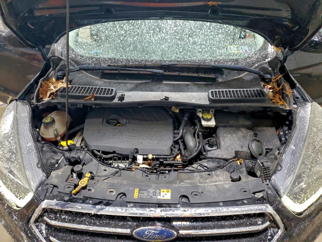 2017 FORD ESCAPE SE photo 12