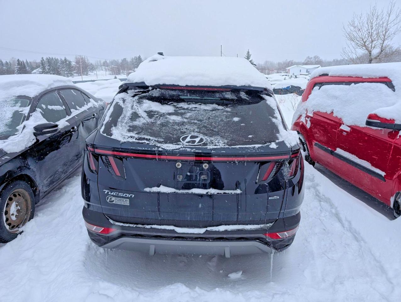 2023 HYUNDAI TUCSON SEL photo 6