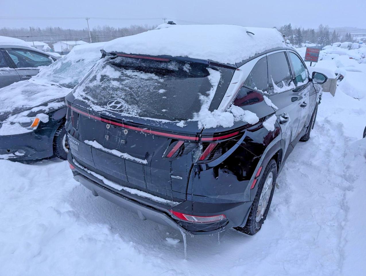 2023 HYUNDAI TUCSON SEL photo 3