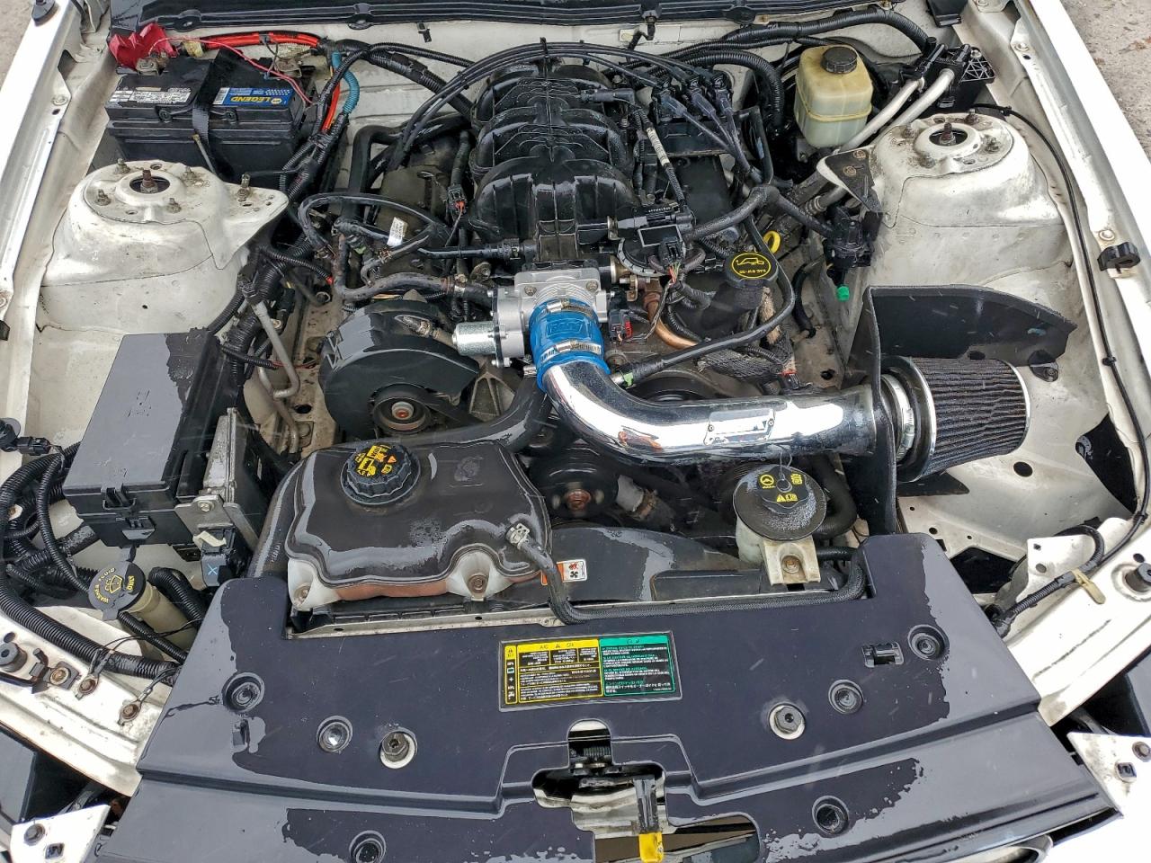 2005 FORD MUSTANG photo 11
