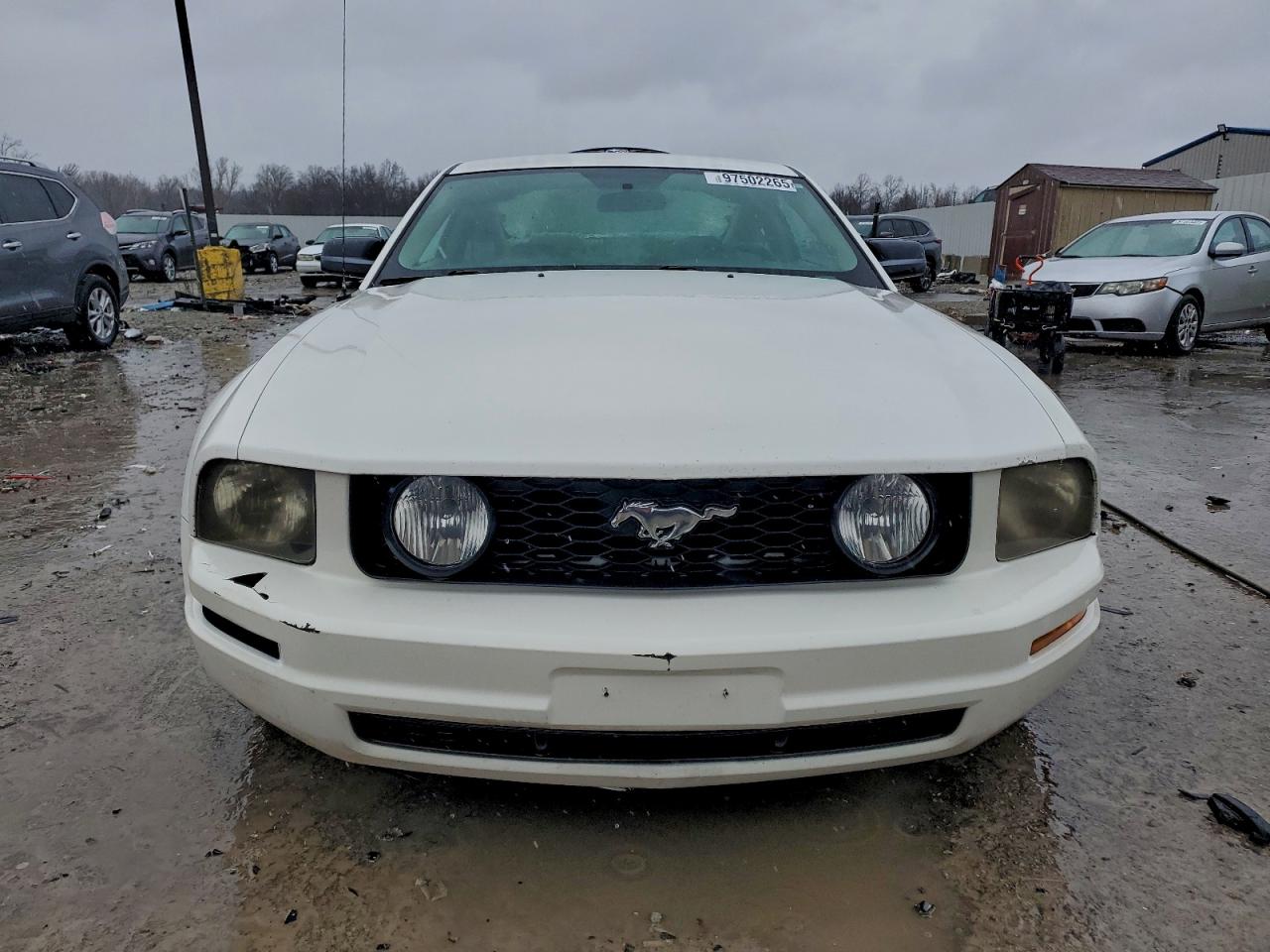 2005 FORD MUSTANG photo 5