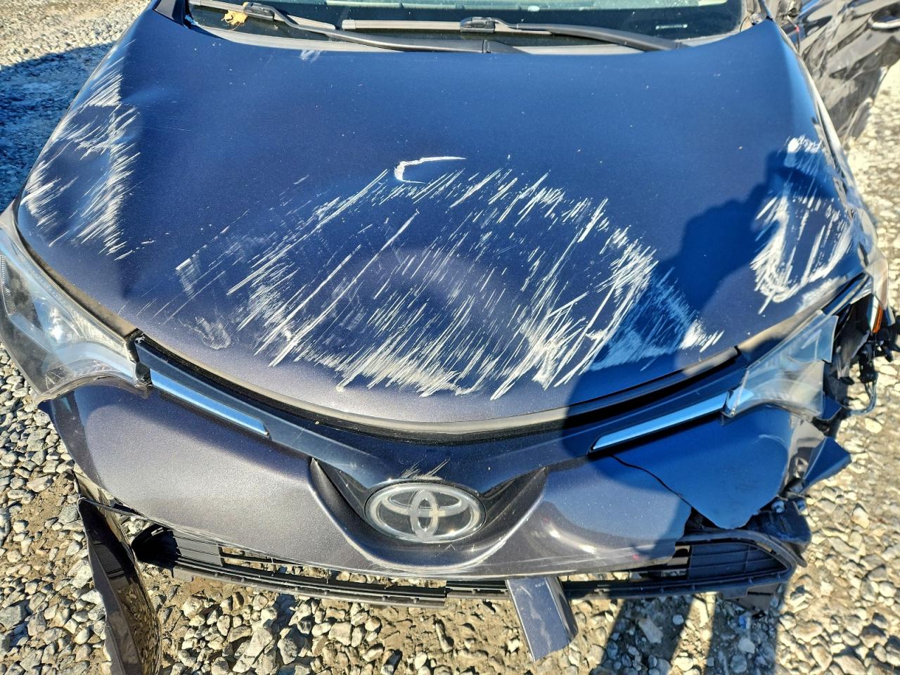 2017 TOYOTA RAV4 LE photo 12