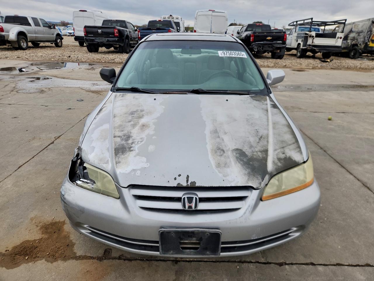 2002 HONDA ACCORD SE photo 5