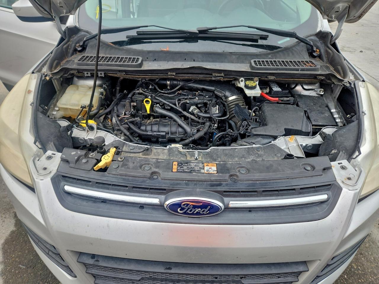 2014 FORD ESCAPE SE photo 12