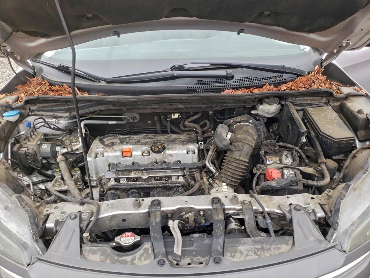 2013 HONDA CR-V LX photo 12