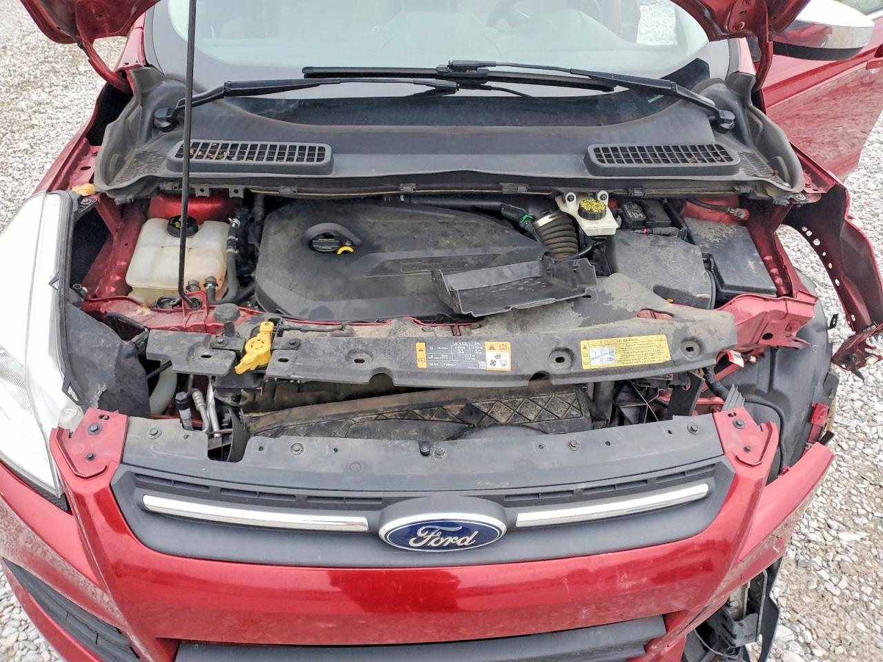 2014 FORD ESCAPE SE photo 12