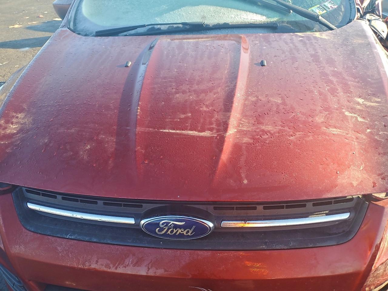 2015 FORD ESCAPE SE photo 12
