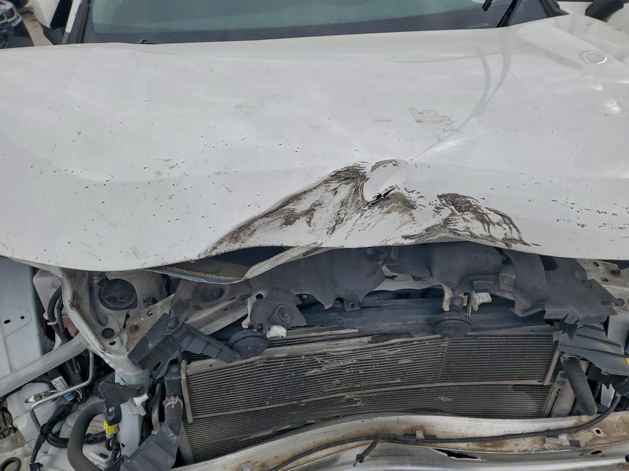 2021 TOYOTA RAV4 XLE photo 12