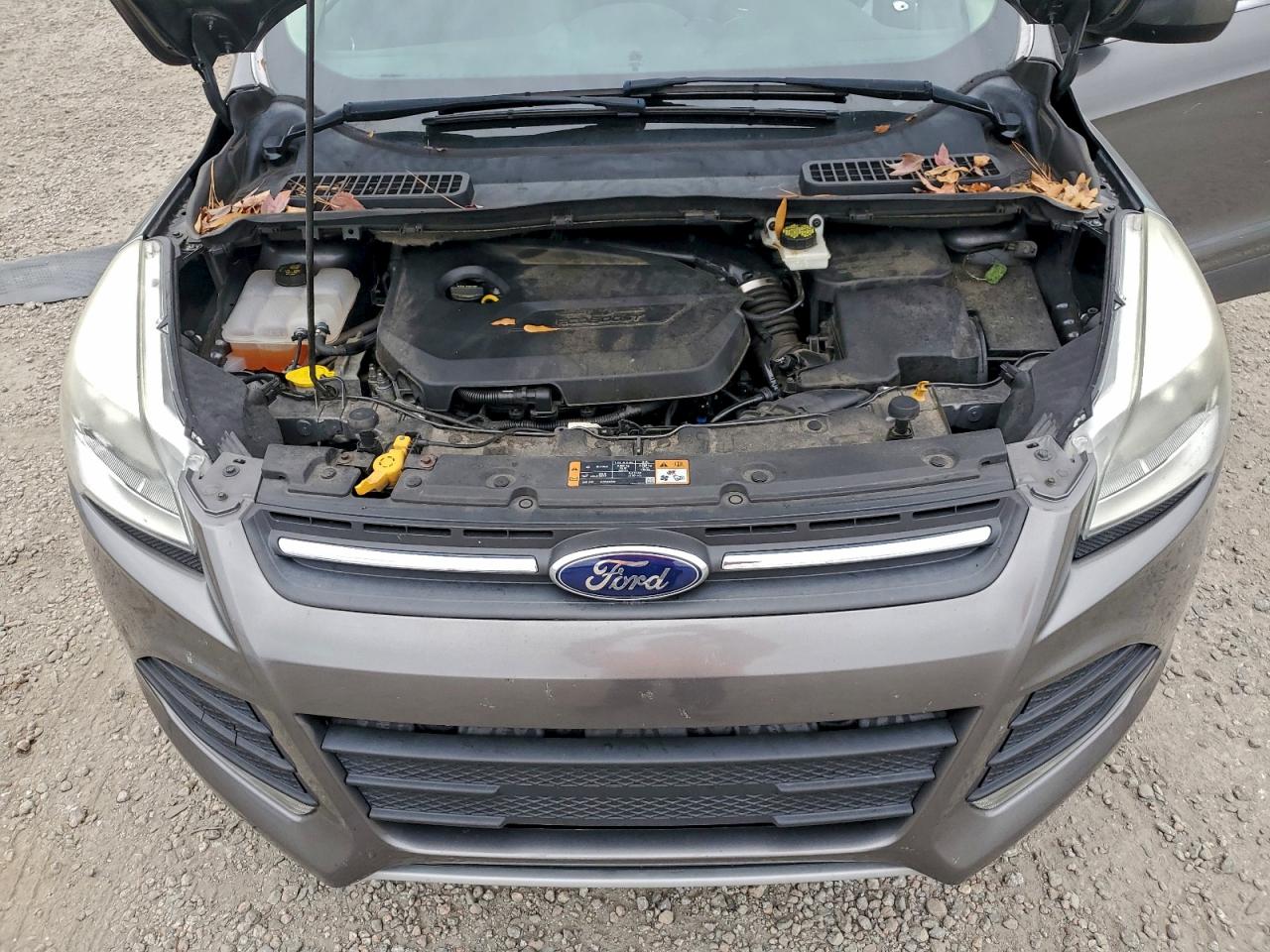 2014 FORD ESCAPE SE photo 11