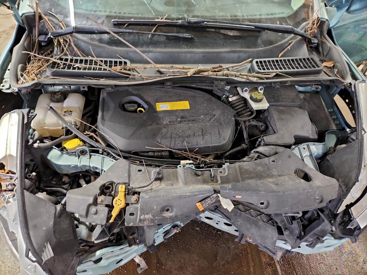 2013 FORD ESCAPE SE photo 12