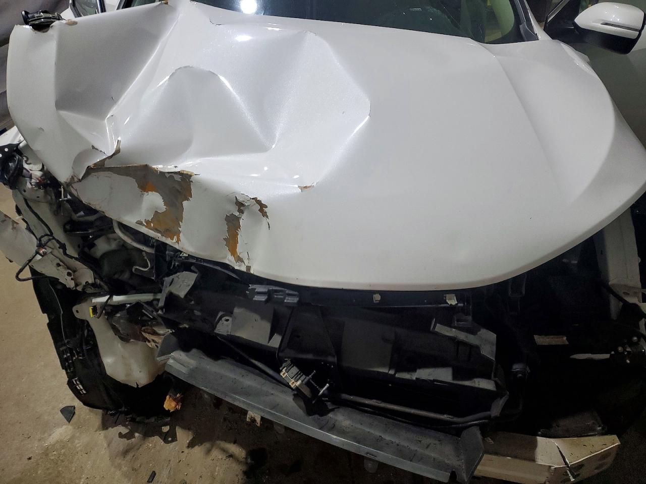 2019 HONDA CR-V EXL photo 12